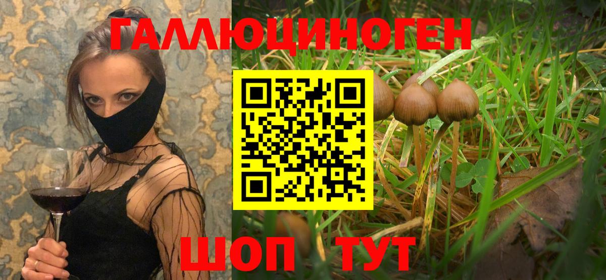 Галлюциногенные грибы MAGIC MUSHROOMS  Вход с VPN  Галлюциногенные грибы мухоморы  Вязники 