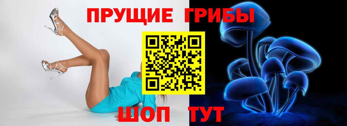 Псилоцибиновые грибы Magic Shrooms Вязники